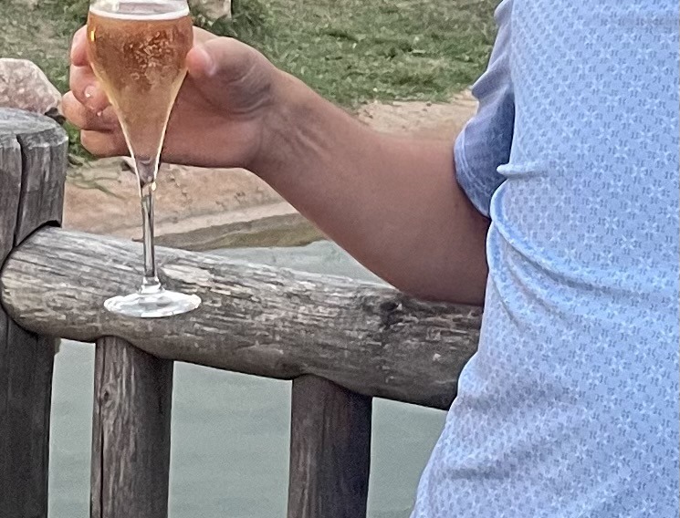 Perfil de Aden, 48 años, escort gay en Adeje