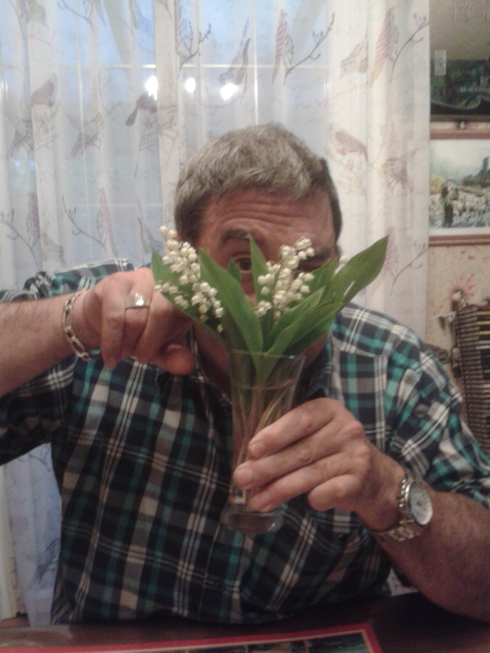 Perfil de Nemorin, 55 años, escort gay en Brieva
