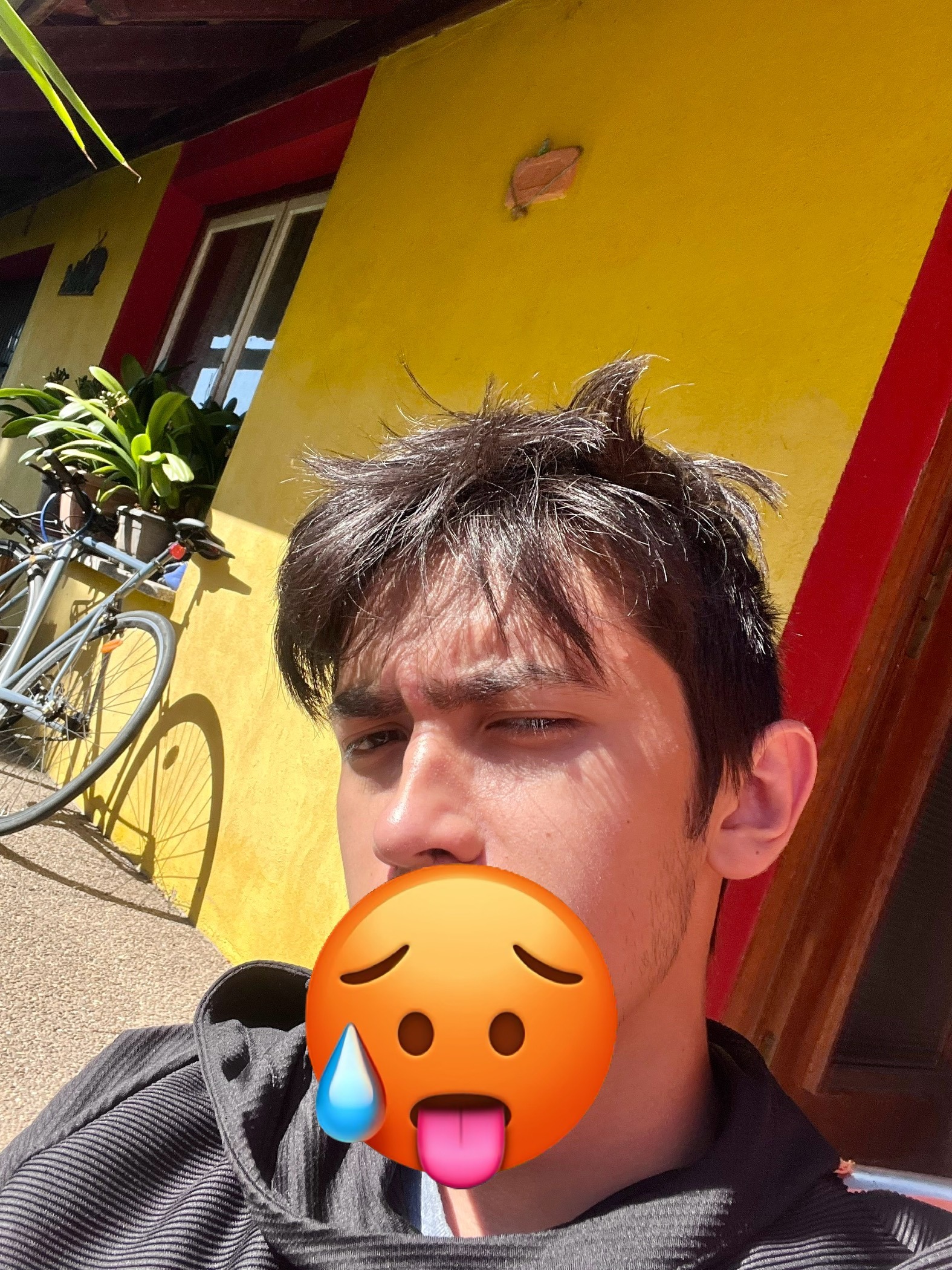 Perfil de Gelindo, 22 años, escort gay en Bercial