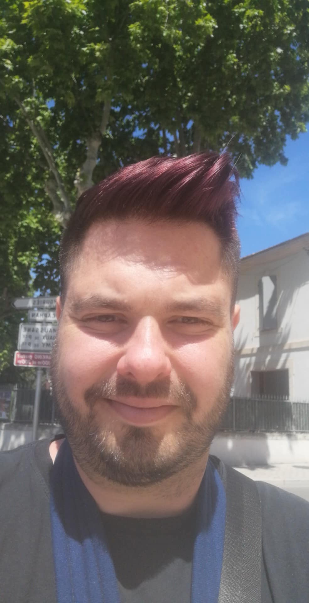 Perfil de Meddy, 33 años, escort gay en Parral, El